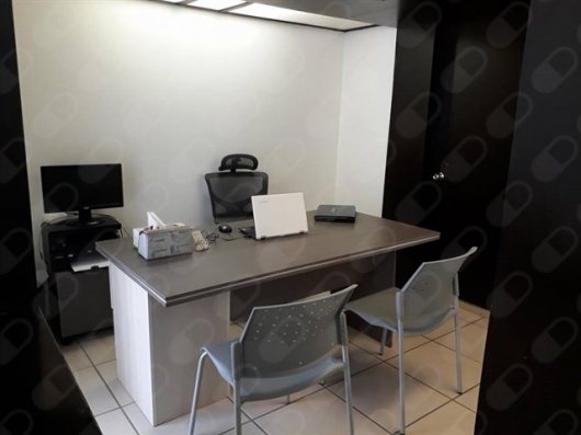 Xochitl Andrea Avalos Alvarez-21