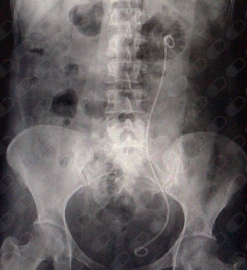 Eduardo Montiel Delgado-19