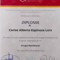 Ampliar imagen: certificate 10