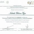 Ampliar imagen: certificate 10