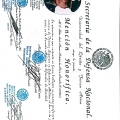 Ampliar imagen: certificate 10