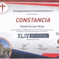Ampliar imagen: certificate 48