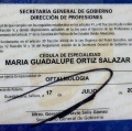 Ampliar imagen: certificate 6
