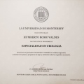 Ampliar imagen: certificate 9