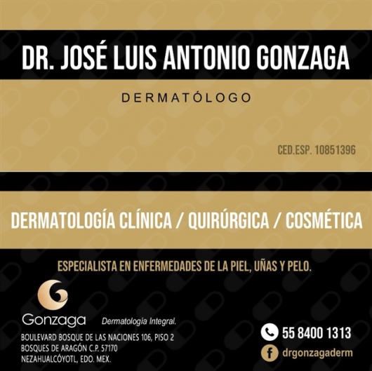 José Luis Antonio Gonzaga-3