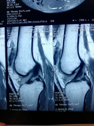 Gerardo Segundo Primero-3