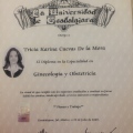 Ampliar imagen: certificate 2