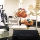 CLINICA PROGRESO