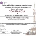 Ampliar imagen: certificate 62