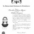 Ampliar imagen: certificate 3