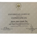 Ampliar imagen: certificate 4