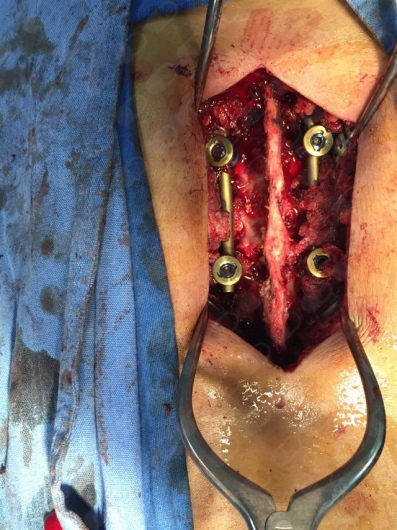 Jorge Salvador De La Cruz Alvarez-5