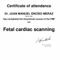 Ampliar imagen: certificate 4
