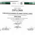 Ampliar imagen: certificate 8
