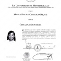 Ampliar imagen: certificate 4