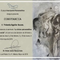 Ampliar imagen: certificate 23