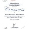 Ampliar imagen: certificate 7