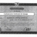 Ampliar imagen: certificate 33