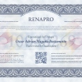 Ampliar imagen: certificate 3