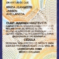 Ampliar imagen: certificate 6