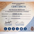 Ampliar imagen: certificate 11