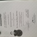 Ampliar imagen: certificate 3