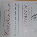 Ampliar imagen: certificate 7