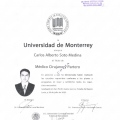 Ampliar imagen: certificate 2