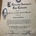 Ampliar imagen: certificate 5