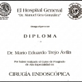 Ampliar imagen: certificate 8