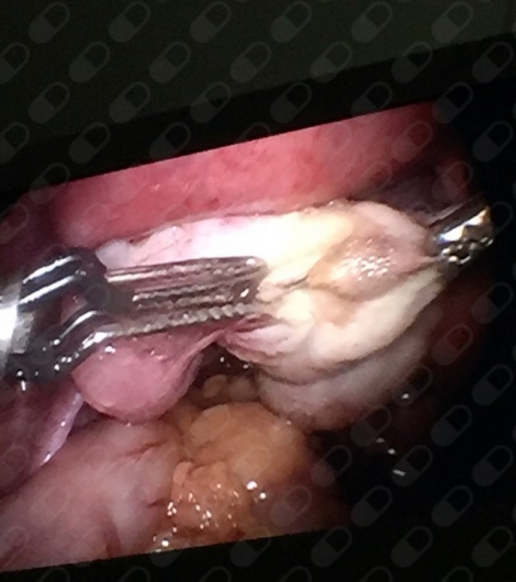 Sandra Aguilera Cervantes-6