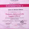 Ampliar imagen: certificate 6