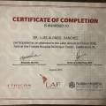 Ampliar imagen: certificate 4