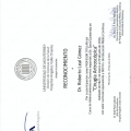 Ampliar imagen: certificate 25