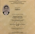 Ampliar imagen: certificate 3