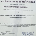 Ampliar imagen: certificate 7