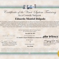 Ampliar imagen: certificate 1