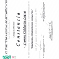 Ampliar imagen: certificate 1
