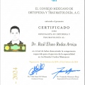 Ampliar imagen: certificate 4