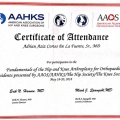 Ampliar imagen: certificate 9