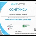 Ampliar imagen: certificate 28