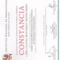 Ampliar imagen: certificate 12