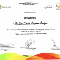 Ampliar imagen: certificate 9