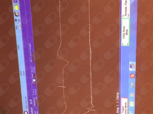 Ana Patricia Cárdenas Vizcarra-9