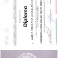 Ampliar imagen: certificate 10