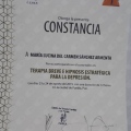 Ampliar imagen: certificate 9