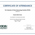 Ampliar imagen: certificate 8