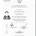 Ampliar imagen: certificate 1