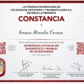 Ampliar imagen: certificate 3