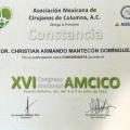 Ampliar imagen: certificate 2